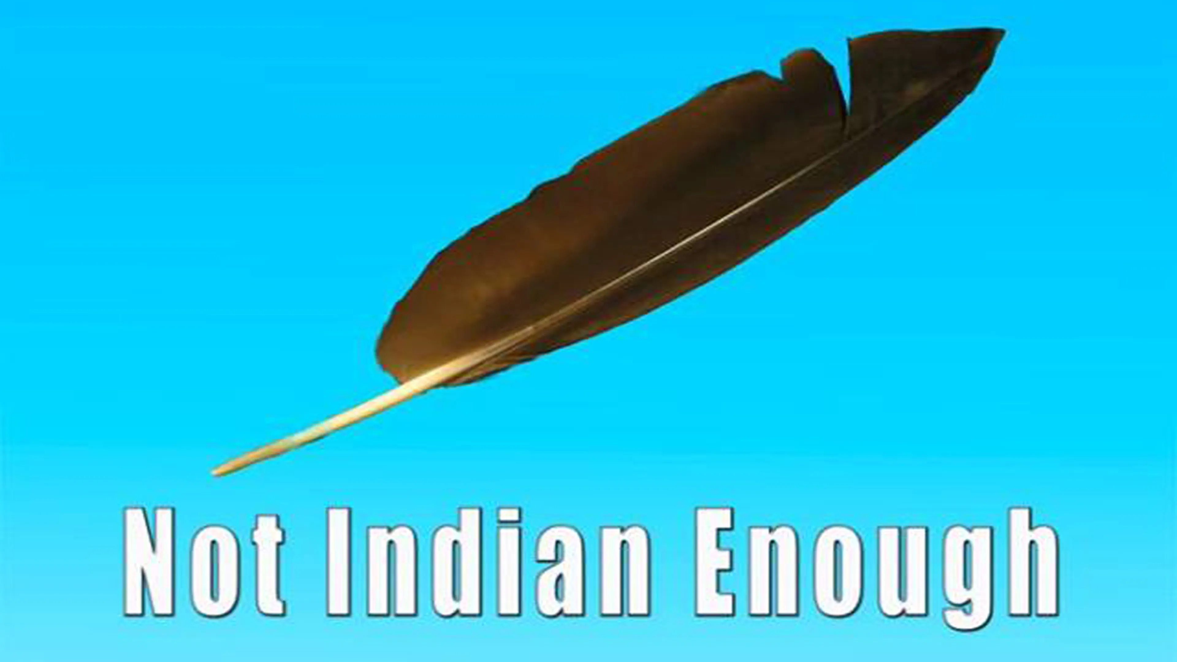 Not Indian Enough poster